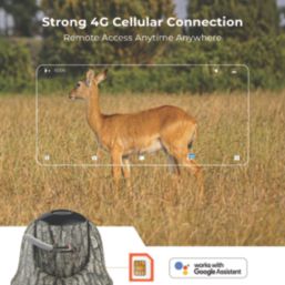 Reolink Keen Ranger PT K2K4GPTSM64-UK Solar-Powered Black & Green Wireless 2K Indoor & Outdoor Dome 4G Pan & Tilt Trail Camera