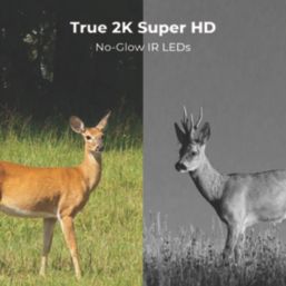 Reolink Keen Ranger PT K2K4GPTSM64-UK Solar-Powered Black & Green Wireless 2K Indoor & Outdoor Dome 4G Pan & Tilt Trail Camera