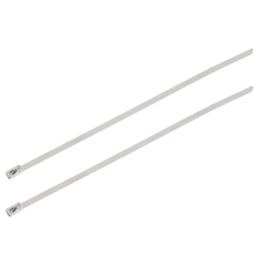 Essentials Stainless Steel Cable Ties Metallic 30cm x 0.79cm 100 Pack