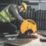 DEWALT D28730-LX 2300W 355mm  Electric Metal Cutting Chop Saw 110V
