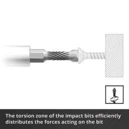 Einhell  1/4" Hex Shank Mixed Impact Driver Bit Set 35 Pieces