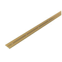 Extra Wide Carpet Cover Door Strip Gold Effect 0.9m x 61mm