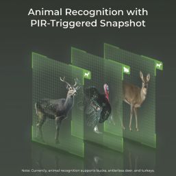 Reolink G450 Ranger Solar-Powered Black & Green Wired or Wireless 4K Indoor & Outdoor Cylinder Security Camera