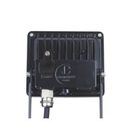 Collingwood  Indoor & Outdoor LED Residential Floodlight Black 10W 1100 / 1150 / 1300lm