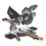 Titan TTB1363MSW 210mm  Electric Single-Bevel Sliding Mitre Saw 220-240V