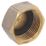 Hep2O  Brass BSP Female Manifold Cap 3/4"