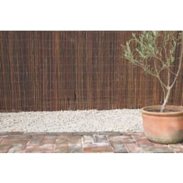 Apollo Willow Roll-Up Screening 4m x 1m