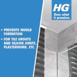 HG  486050106 Mould Preventor Spray 500ml
