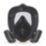 DEWALT  Large Full Face Mask Respirator P3