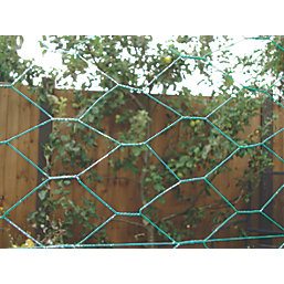 Apollo 50mm PVC-Coated Wire Netting 1m x 10m