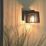 Lutec Shyne Outdoor Wall Light Black