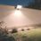 LAP Weyburn Outdoor LED Floodlight With PIR Sensor Black 150W 22,500lm