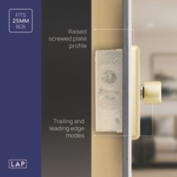 LAP  2-Gang 2-Way LED Dimmer Switch  Satin Brass with Black Inserts