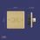 LAP  2-Gang 2-Way LED Dimmer Switch  Satin Brass with Black Inserts