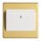 Contactum Lyric 10AX Key Card Switch Brushed Brass with White Inserts