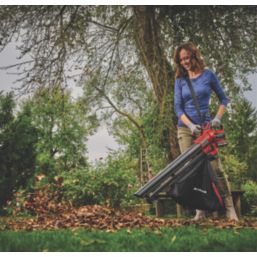 Einhell deals leaf blower