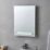 Saxby Tigris Rectangular Bathroom Mirror With 60lm LED Light 390mm x 500mm