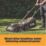 Titan  36V 1 x 4.0Ah Li-Ion TXP Brushless Cordless 38cm Lawn Mower