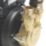 Stuart Turner Monsoon Standard Regenerative Twin Shower Pump 1.5bar