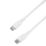 Essentials USB-C to USB-C Charging Cable 2m