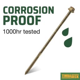 TimbaScrew  Hex Flange Thread Cutting Timber Screws 6.7mm x 200mm 50 Pack