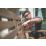 Einhell TE-OS 18/150-3 Li 18V Li-Ion Power X-Change  Cordless Detail Sander - Bare