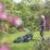 Webb Eco X-Series 40V 2 x 4.0Ah Li-Ion  Brushless Cordless 43cm Rotary Lawn Mower