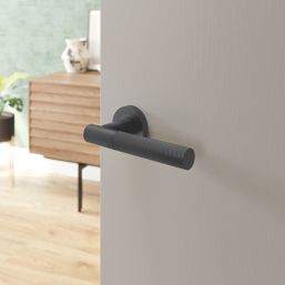 Cooke & Lewis Damgano Lever on Rose Door Handles Pair Titanium