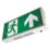 Robus  Maintained or Non-Maintained Emergency LED Exit Box with Up Arrow 4.2W 17-45lm