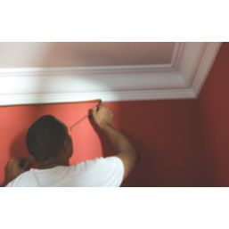 Frogtape  Painters Multi-Surface Masking Tape 41m x 24mm