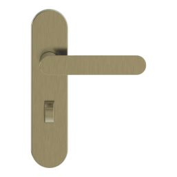 Cooke & Lewis Maugan WC Lever on Backplate Door Handles Pair Antique Brass