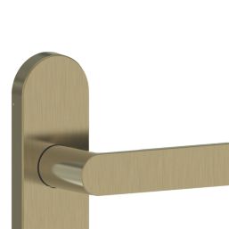 Cooke & Lewis Maugan WC Lever on Backplate Door Handles Pair Antique Brass