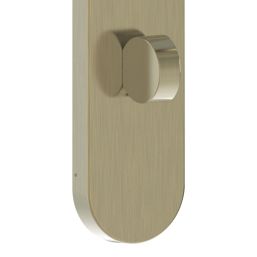 Cooke & Lewis Maugan WC Lever on Backplate Door Handles Pair Antique Brass