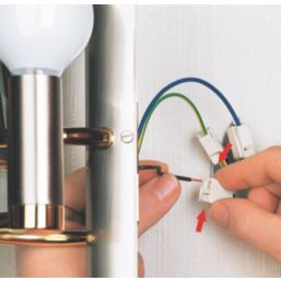 Wago 224-101 24A 2-Way Push-Wire Lighting Connectors 100 Pack
