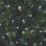 1000 LED Indoor & Outdoor Ice White String Christmas Lights