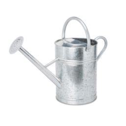 Essentials  Steel Watering Can with Rose 12Ltr