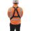 JSP Spartan Twin Tail Fall Arrest Kit with Lanyard 2m