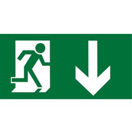 Aurora EN-LG2D Emergency Exit Down Legend 145mm x 290mm