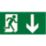 Aurora EN-LG2D Emergency Exit Down Legend 145mm x 290mm