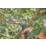 Gardena Bypass AssistCut Battery Assisted Secateurs 10.66" (271mm)