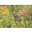 Gardena Bypass AssistCut Battery Assisted Secateurs 10.66" (271mm)