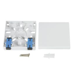 Labgear 2 Port Mount Box With Twin SC Adaptor