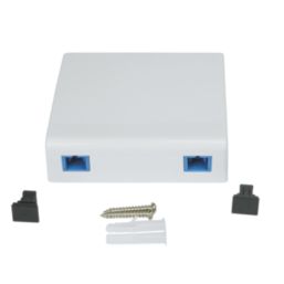 Labgear 2 Port Mount Box With Twin SC Adaptor