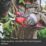 Einhell Professional GP-LS 18/28 Li BL-Solo 18V Li-Ion Power X-Change Cordless Bypass Pruning Shears - Bare