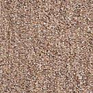 Abingdon Carpet Tile Division Unity Carpet Tiles Latte 20 Pack