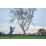 Bosch UniversalChainPole 18 18V Li-Ion Power for All Brushless Cordless 20cm Chain Pole - Bare