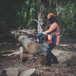 Erbauer ECSP51 50cm 50.9cc Petrol Chainsaw