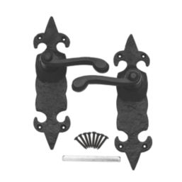 Carlisle Brass Fleur de Lys Door Handles Pair Black