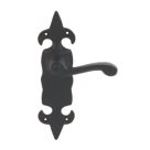 Carlisle Brass Fleur de Lys Door Handles Pair Black