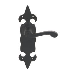 Carlisle Brass Fleur de Lys Door Handles Pair Black